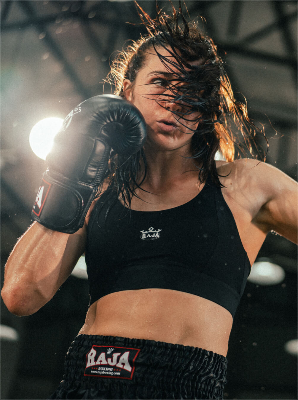boxer